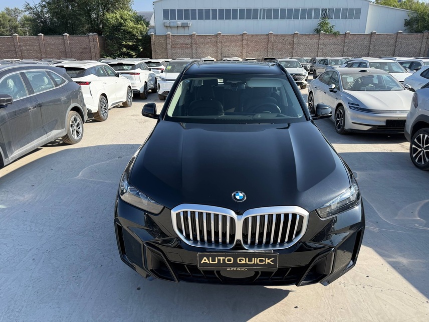BMW X5 30Li, 2026, Black Sapphire — фото 2